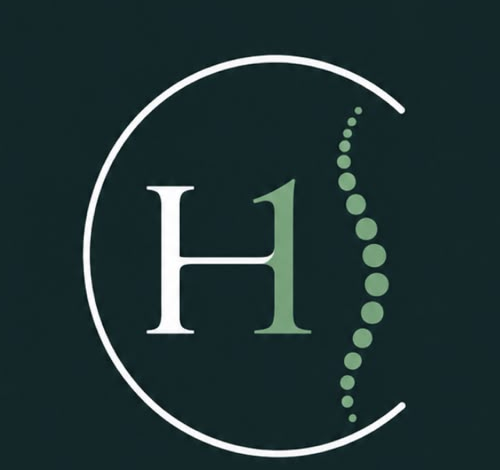 HOLISTIC | ONE Logo